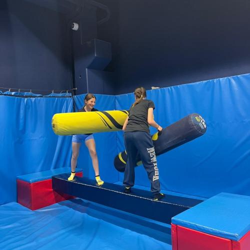 Fliplab2