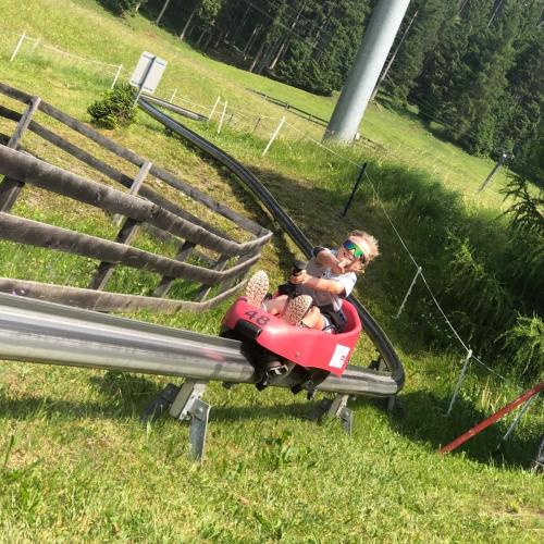 Sommerrodeln