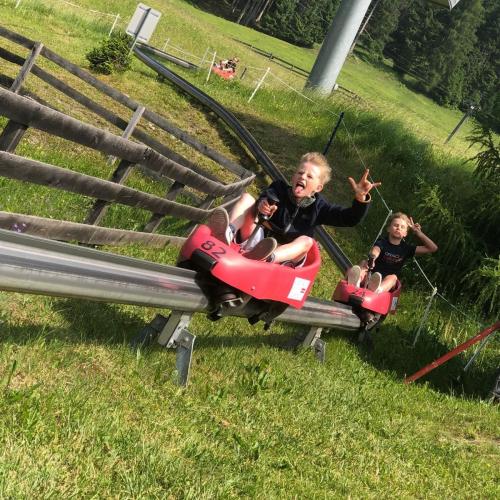 Sommerrodeln